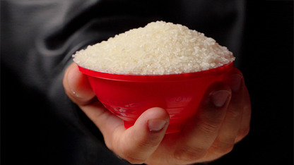 Rice Bowls by Apprentice Magic