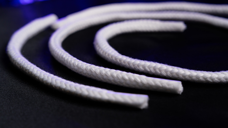 Professor's Nightmare by Apprentice