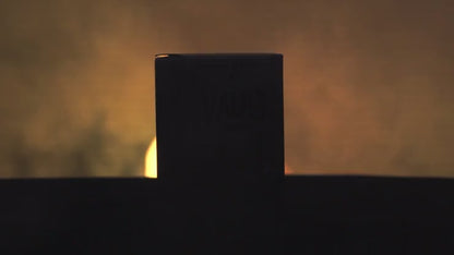 THE VAULT (Gimmicks and Instructions) by Apprentice Magic